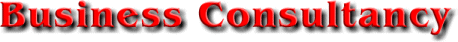 Business Consultancy